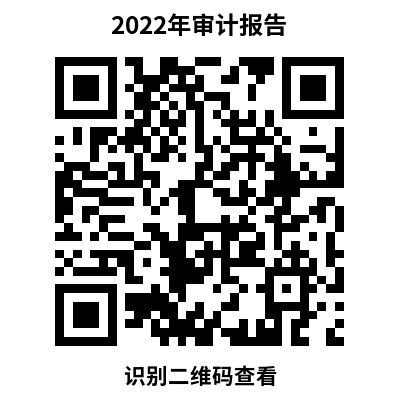 微笑2022年审计.png